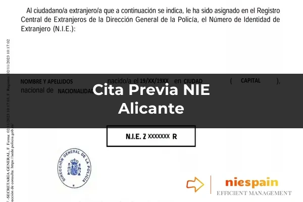 Cita previa NIE y tramitación gestoría Profesional en Alicante