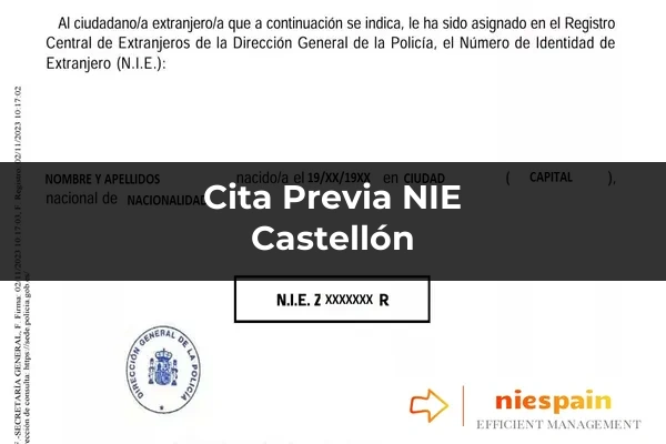 Cita previa NIE y tramitación gestoría Profesional en Castellón