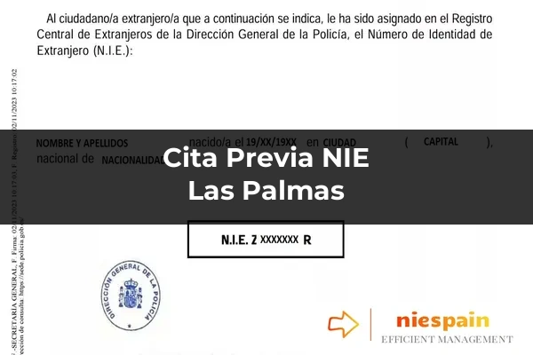 Cita previa NIE y tramitación gestoría Profesional en Las Palmas