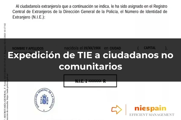 Expedición de TIE a ciudadanos no comunitarios