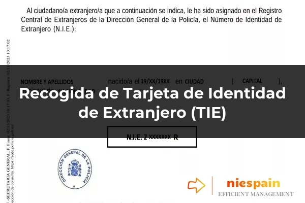 Recogida de Tarjeta de Identidad de Extranjero (TIE)