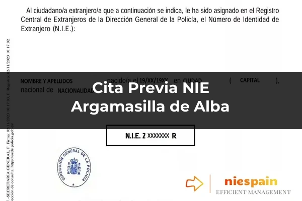 Cita previa NIE y tramitación gestoría Profesional en Argamasilla de Alba