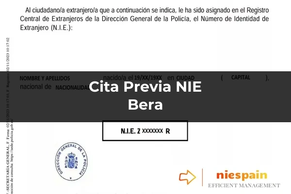 Cita previa NIE y tramitación gestoría Profesional en Bera