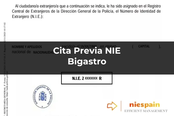 Cita previa NIE y tramitación gestoría Profesional en Bigastro