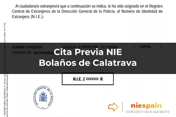 Cita previa NIE y tramitación gestoría Profesional en Bolaños de Calatrava