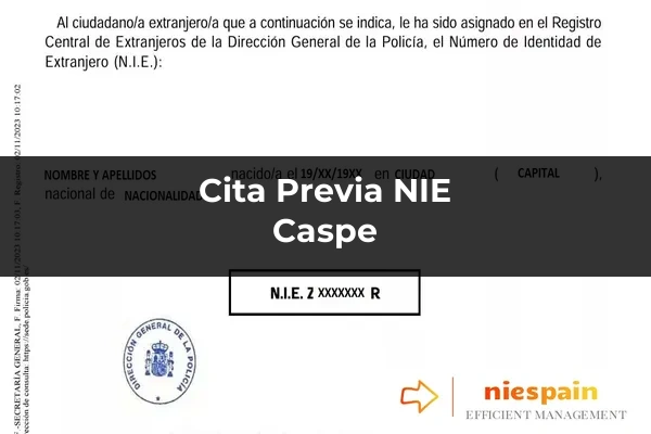 Cita previa NIE y tramitación gestoría Profesional en Caspe