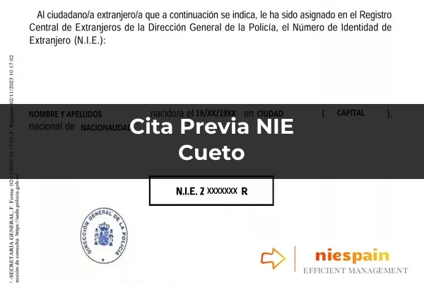 Cita previa NIE y tramitación gestoría Profesional en Cueto