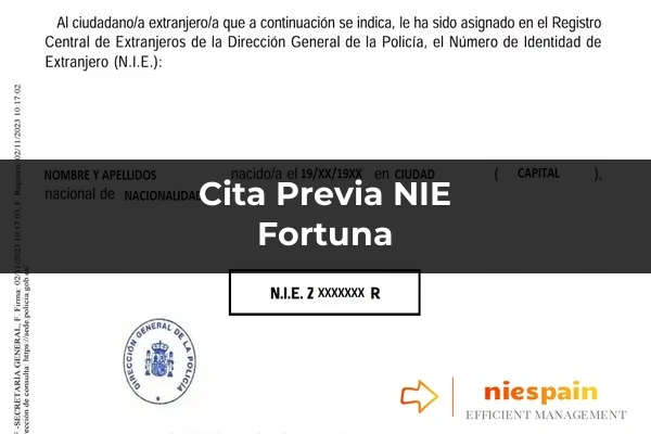 Cita previa NIE y tramitación gestoría Profesional en Fortuna