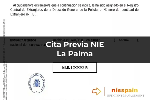 Cita previa NIE y tramitación gestoría Profesional en La Palma