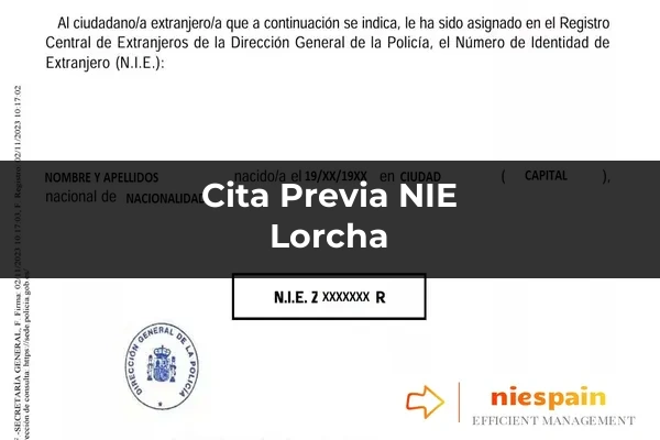 Cita previa NIE y tramitación gestoría Profesional en Lorcha