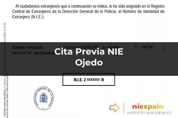 Cita previa NIE y tramitación gestoría Profesional en Ojedo