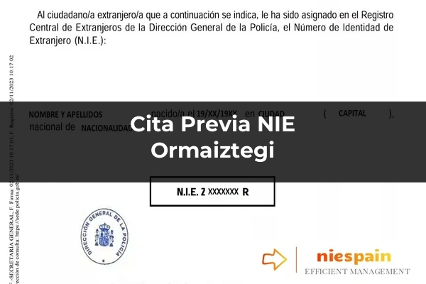 Cita previa NIE y tramitación gestoría Profesional en Ormaiztegi