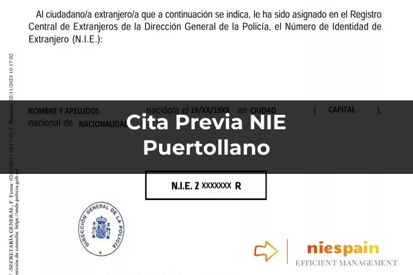 Cita previa NIE y tramitación gestoría Profesional en Puertollano