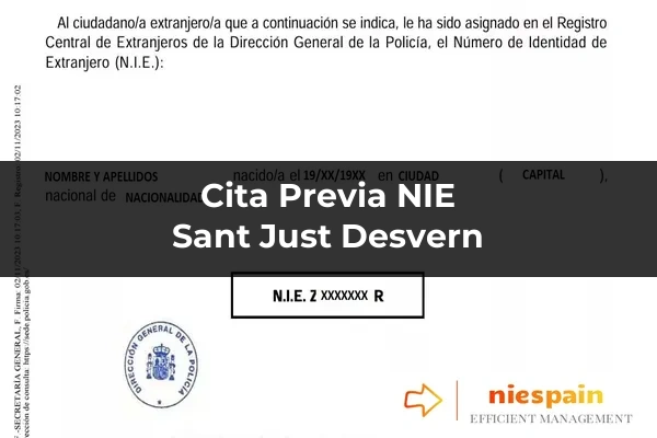 Cita previa NIE y tramitación gestoría Profesional en Sant Just Desvern