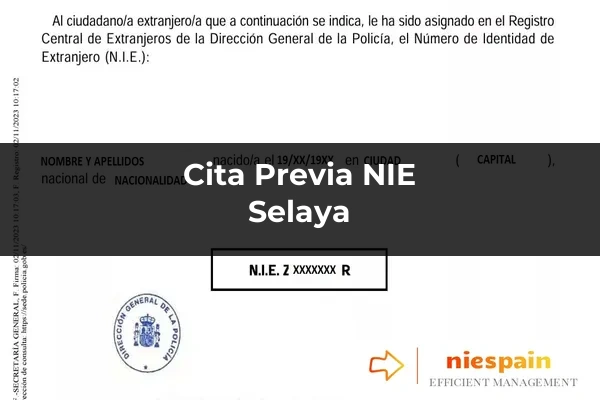 Cita previa NIE y tramitación gestoría Profesional en Selaya