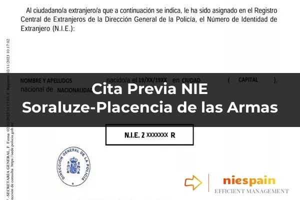 Cita previa NIE y tramitación gestoría Profesional en Soraluze-Placencia de las Armas