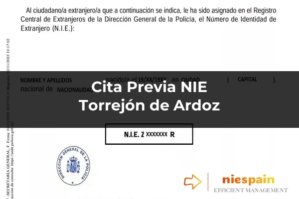 Cita previa NIE y tramitación gestoría Profesional en Torrejón de Ardoz