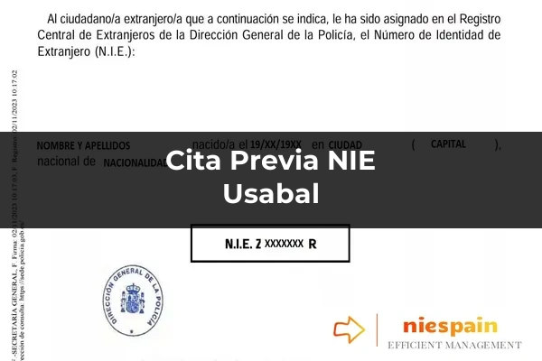 Cita previa NIE y tramitación gestoría Profesional en Usabal