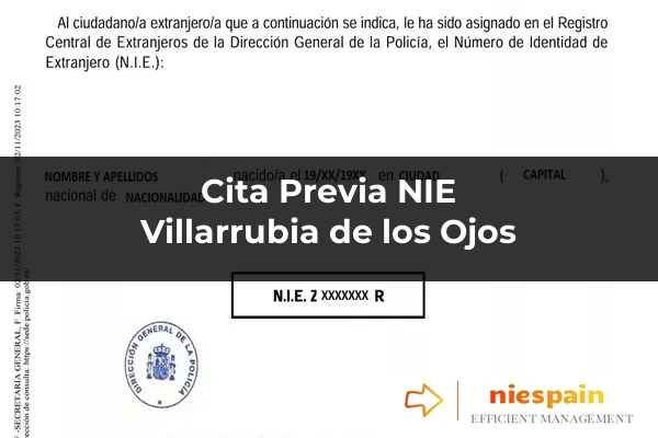 Cita previa NIE y tramitación gestoría Profesional en Villarrubia de los Ojos